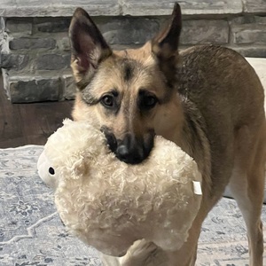 Fundraising Page: Mollie Neeter